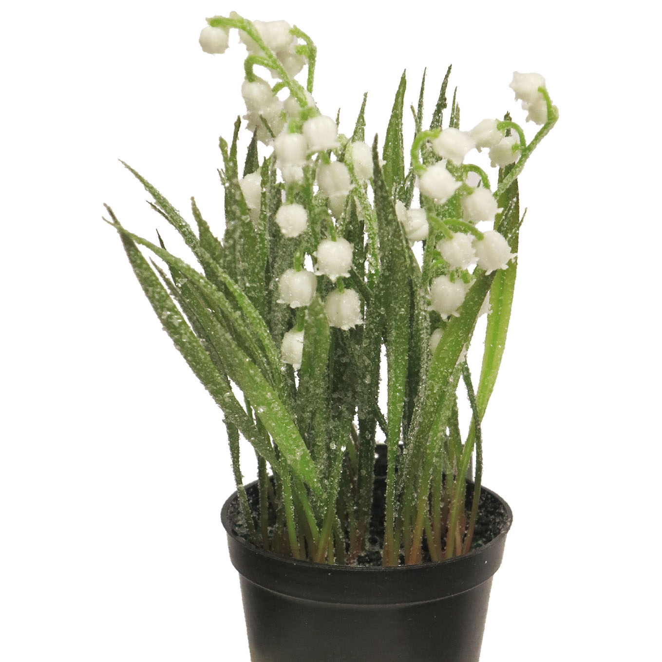 Lilly of the valley in pot green v21 cm