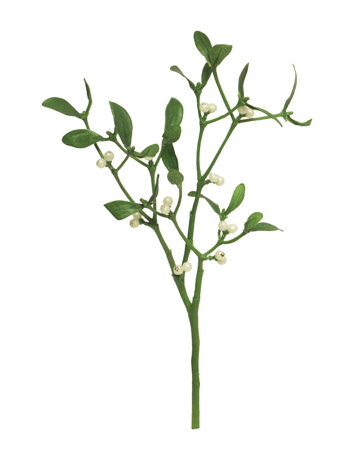 Jmelí (mistletoe) větev bílá 38 cm