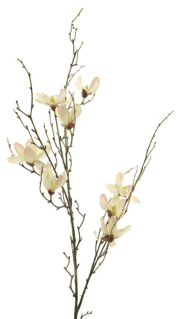 Magnolie - magnolia mini 'Ets' větev oranžová/růžová (peach) 110cm