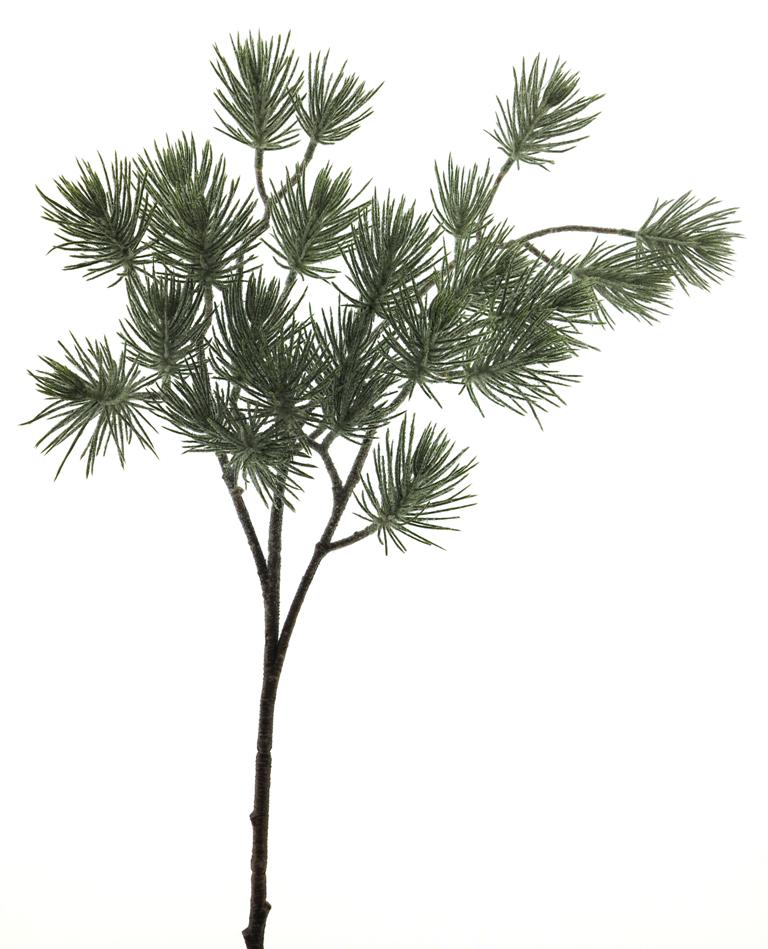 Borovice větev ojíněná zelená V78 cm