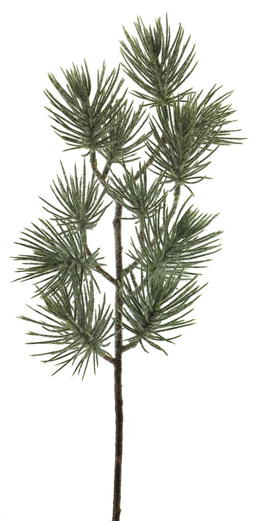 Borovice větev ojíněná zelená V48 cm