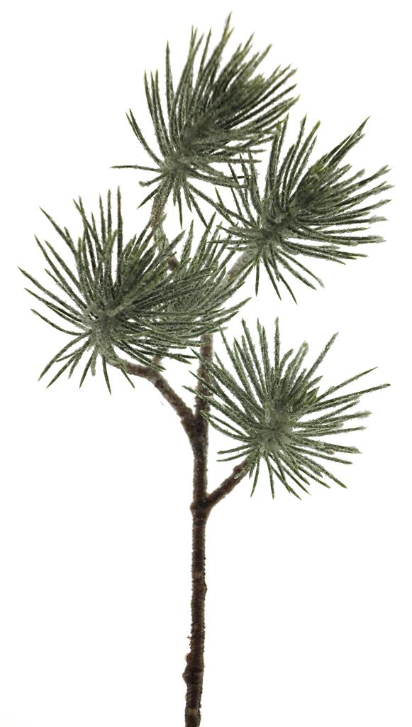Borovice větev ojíněná zelená V28 cm