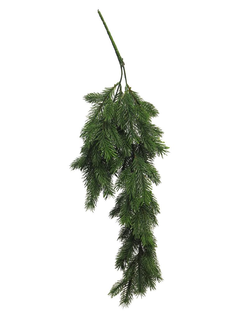 Borovice 'Nisse' (spray) zelená V65 cm