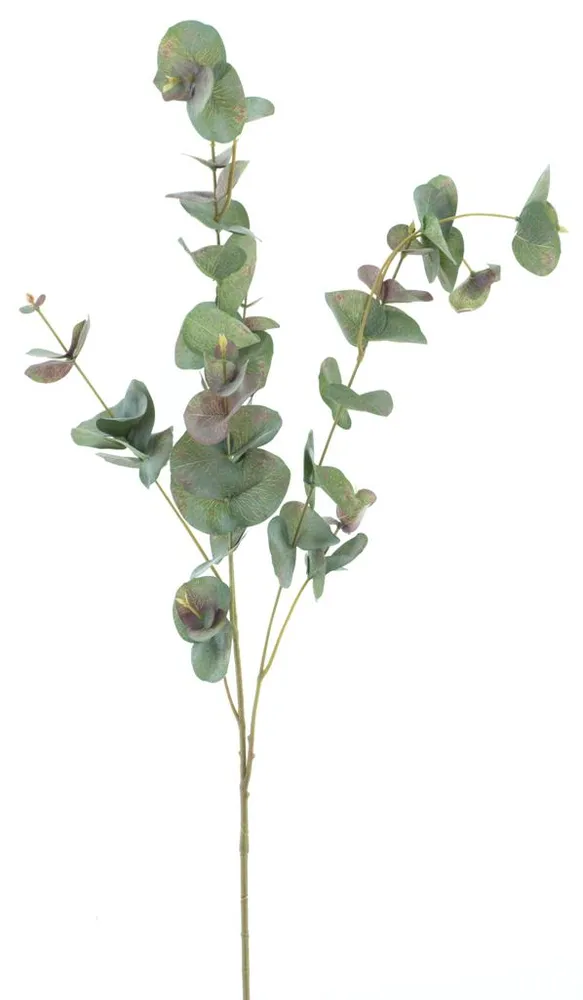 Blahovičník - Eukalyptus (spray) Lucas zelený 99 cm (N326121)