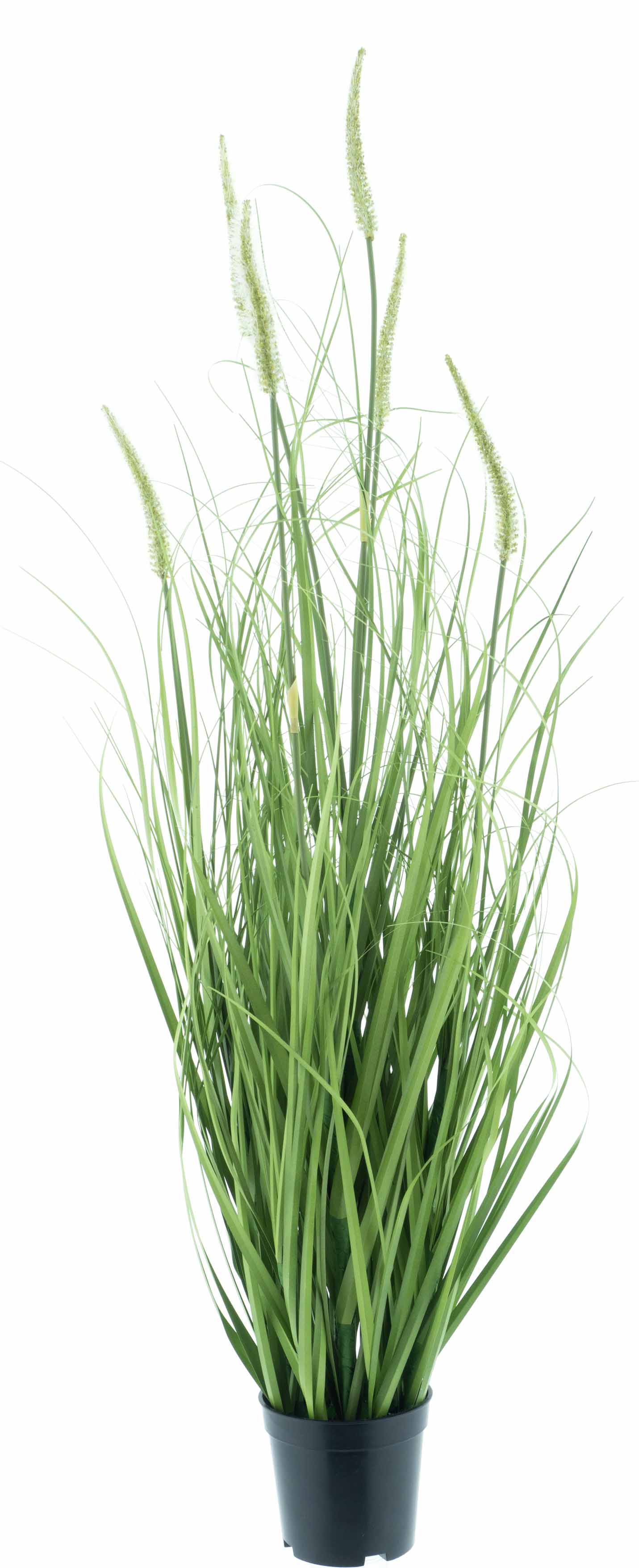 Trava Pennisetum v obalu zelená 100 cm (N521121)