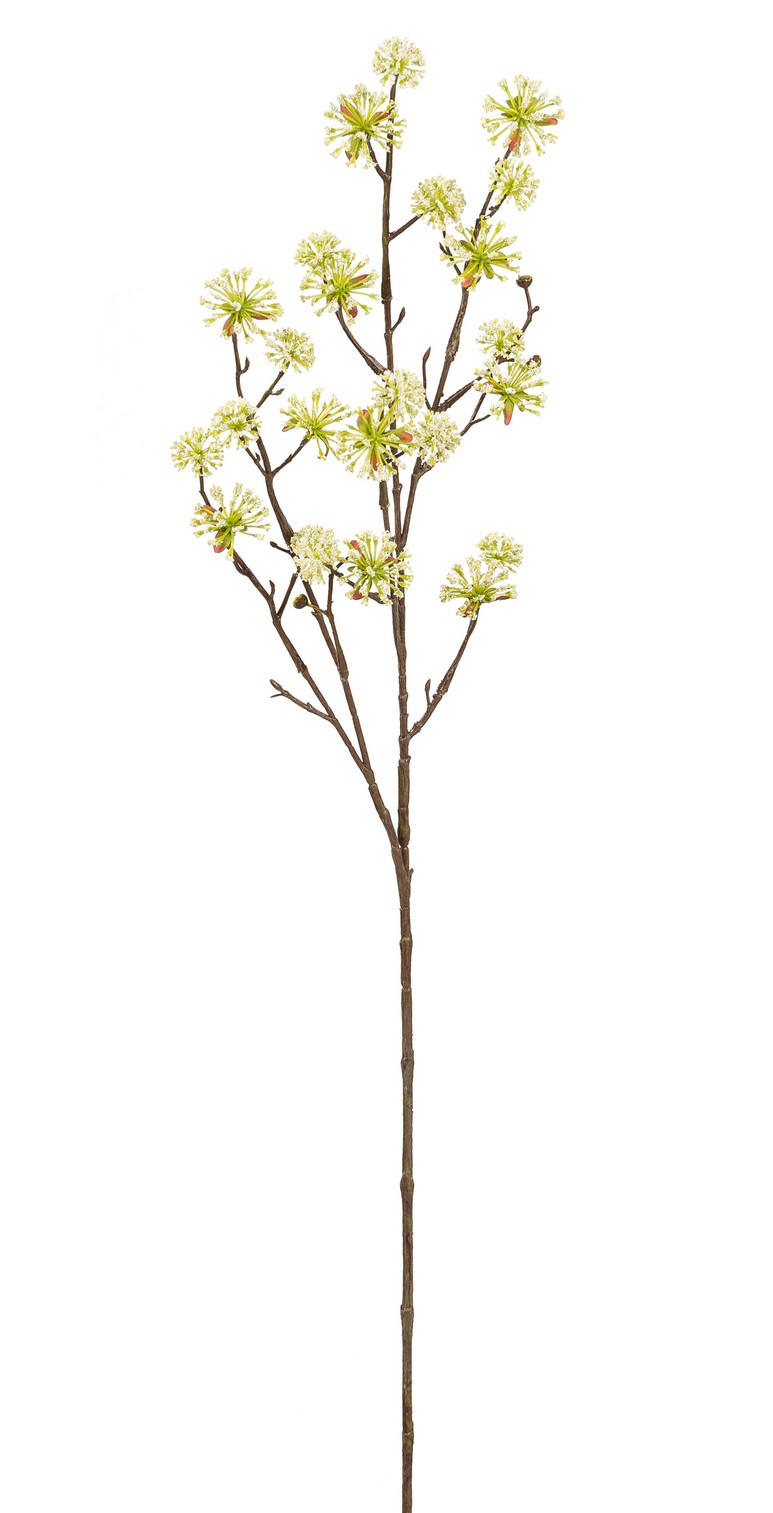 Dřín - Cornus spray (25x) krémový v86 cm (FB107313108)