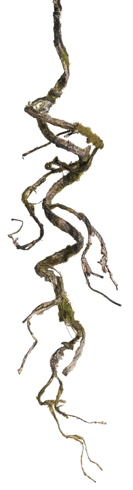 Mech větev (x5) hnědá Délka 90 cm (FB108140030)