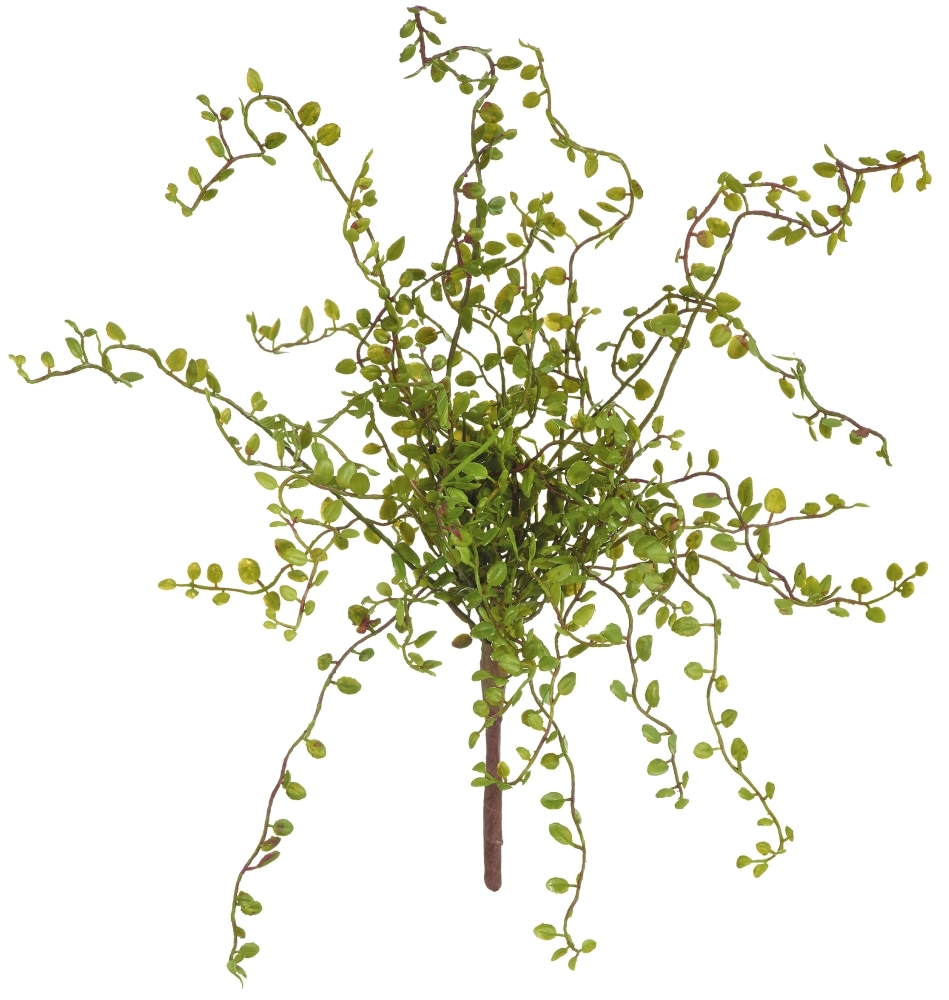 Knofliková listová keř (x21) zelená v38 cm (FB108265800)