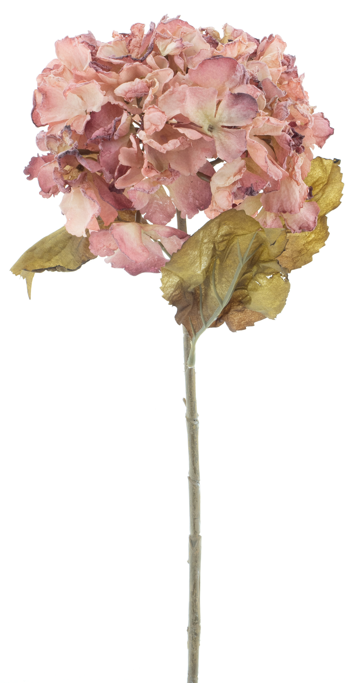 Hortenzie - Hydrangea 'Espoo' růžová V81 cm