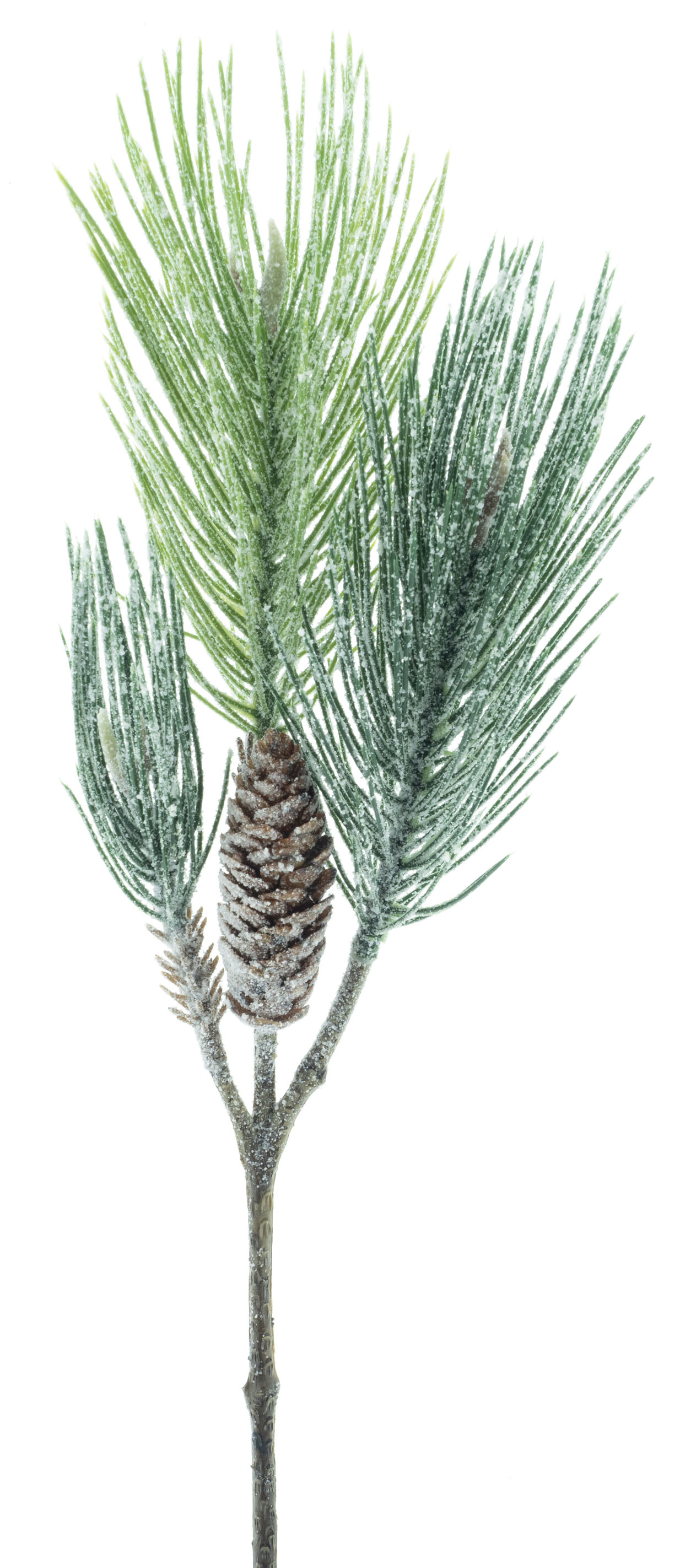 Borovice modřin (Larix) s šiškami ojiněná V60 cm