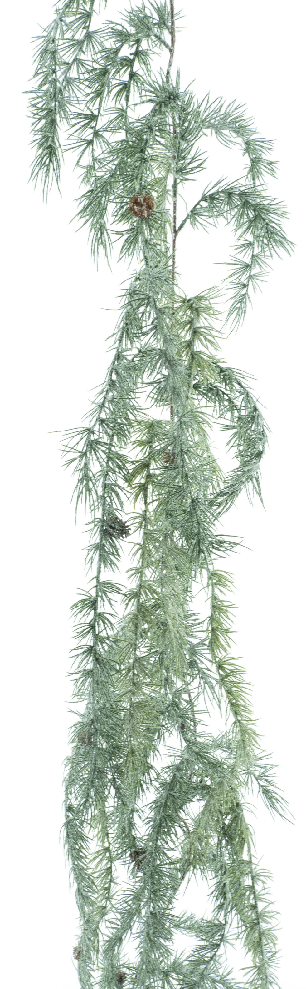 Borovice modřin (Larix) girlanda s šiškami ojiněná Délka 178 cm