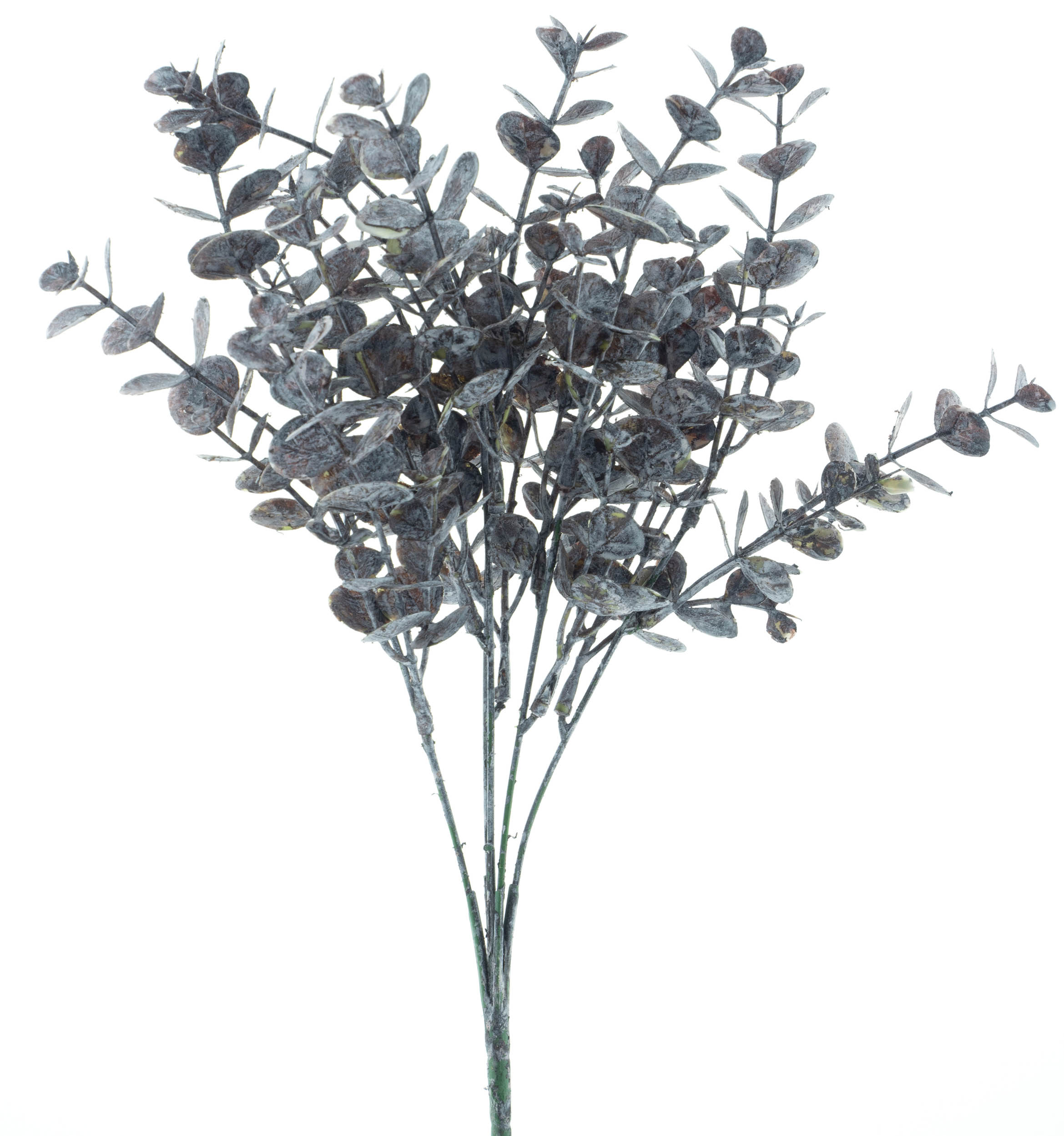 Blahovičník - Eukalyptus větev (spray) hnědý V36 cm