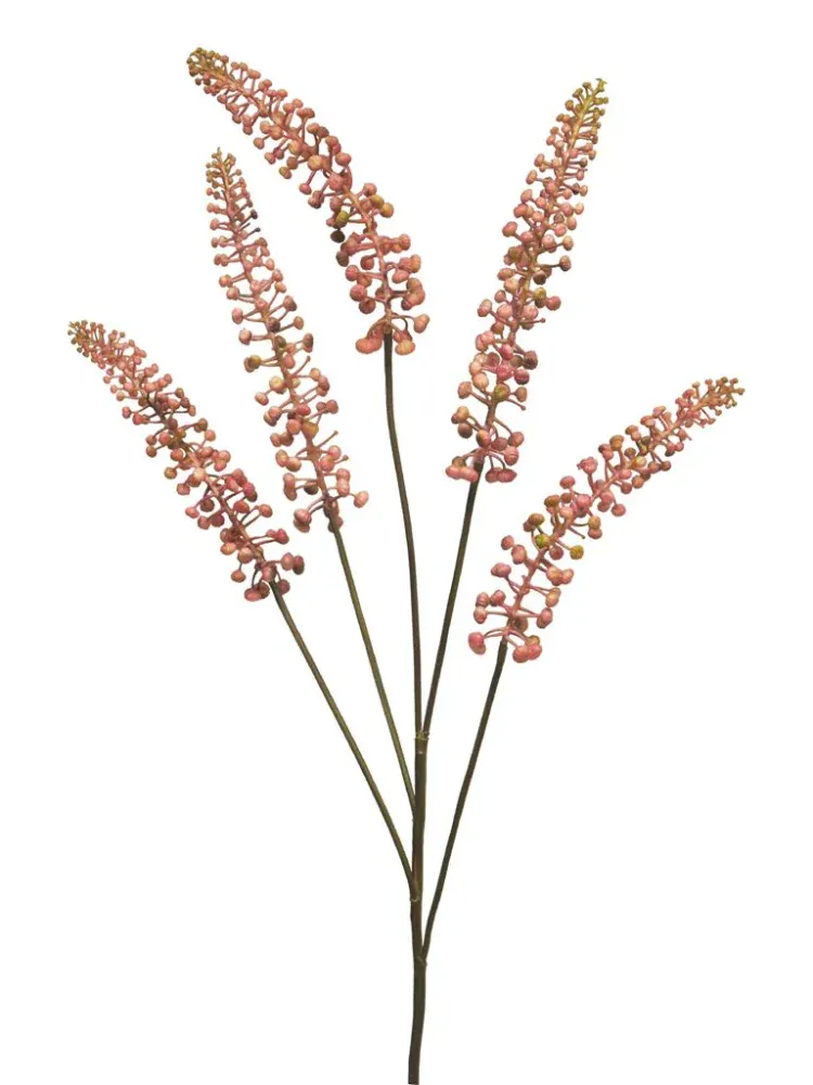 Líčidlo - Phitolacca růžové V93 cm (N927547)