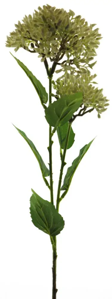 fantazijní květina krémová V67 cm (N936850)