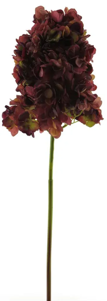 Hortenzie - Hydrangea 'Alonso' růžová V80 cm (N937667)