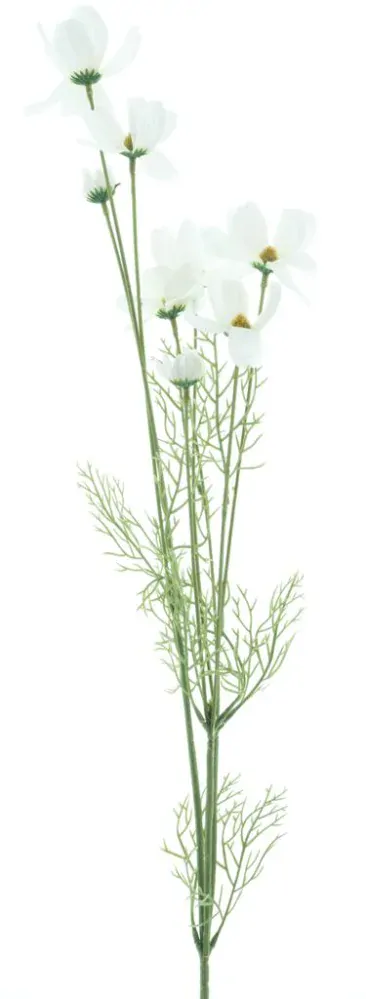 Krásenka - Cosmos perlová krémová V93 cm (956260)