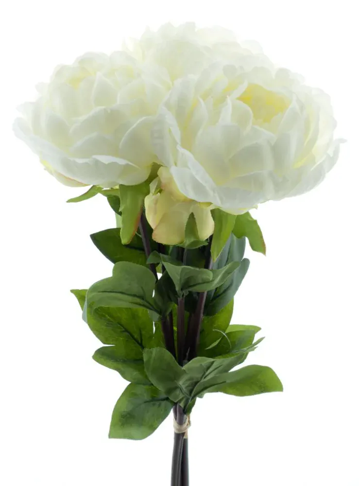 Pivoňka - Paeonia svazek bílá V51 cm (N969871)