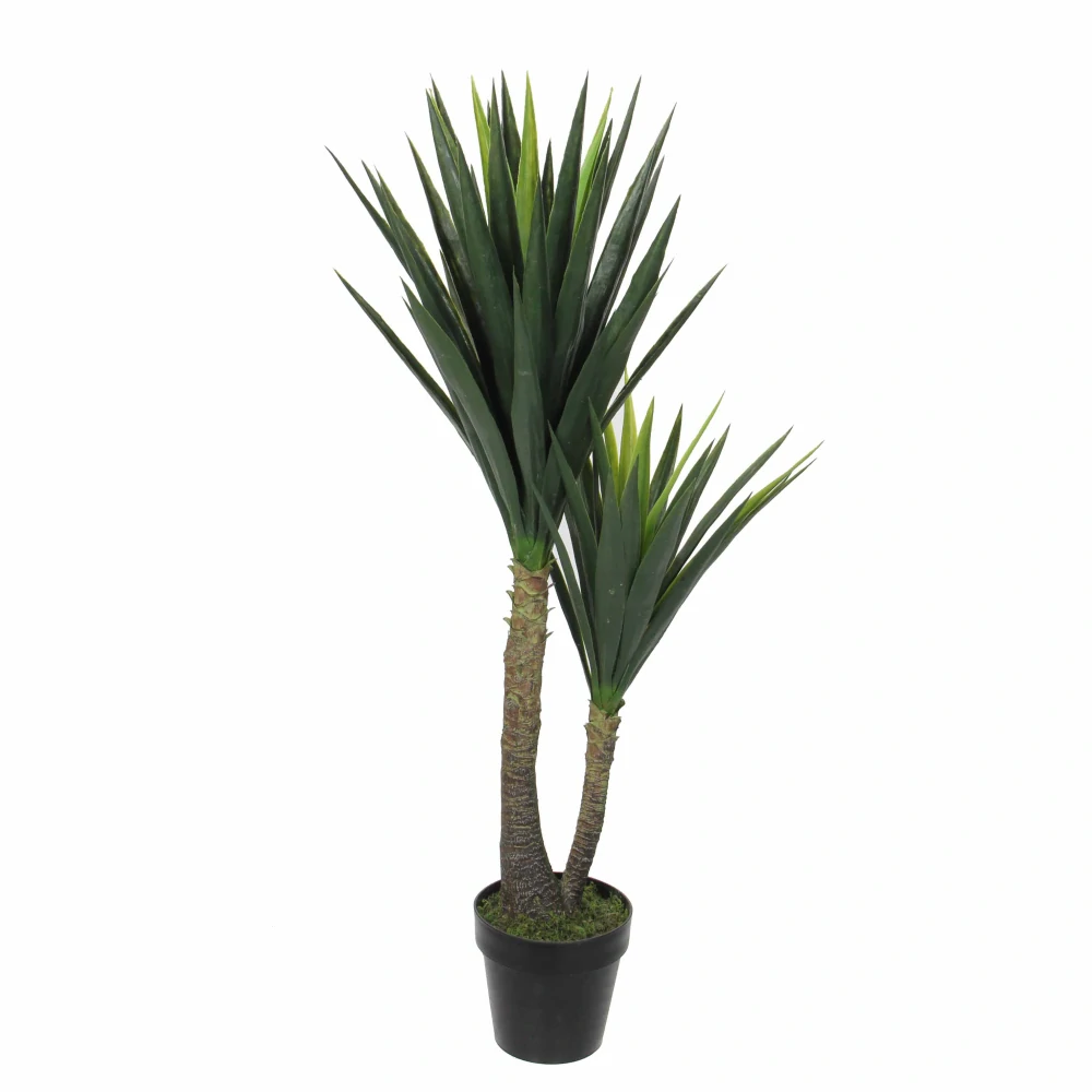 Juka - Yucca v květináči V120, P60 cm