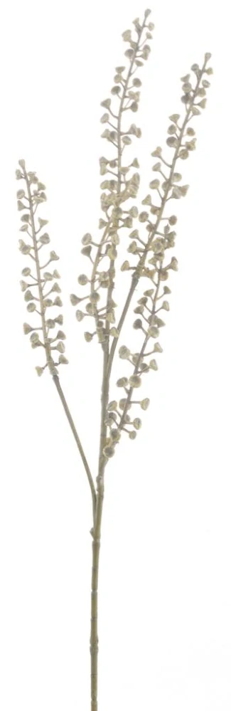 Ličidlo (Pokeberry) spray krémové V52 cm