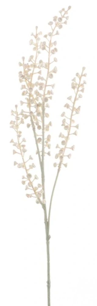 Ličidlo (Pokeberry) spray hnědé V52 cm