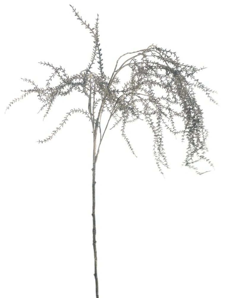 borová vrba spray čerená/zlatá V126 cm