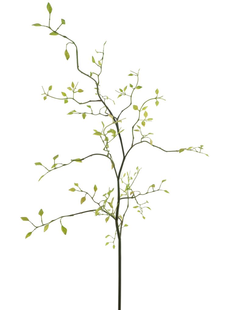 Zomolez (limocera) zelený V95 cm