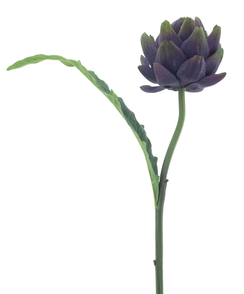 Artyčok větvička „Aidone“ fialová 62 cm