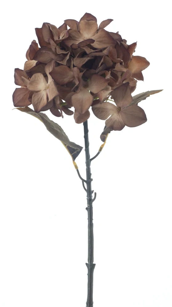 Hortenzie větev „Mendoza“ hnědá 65 cm