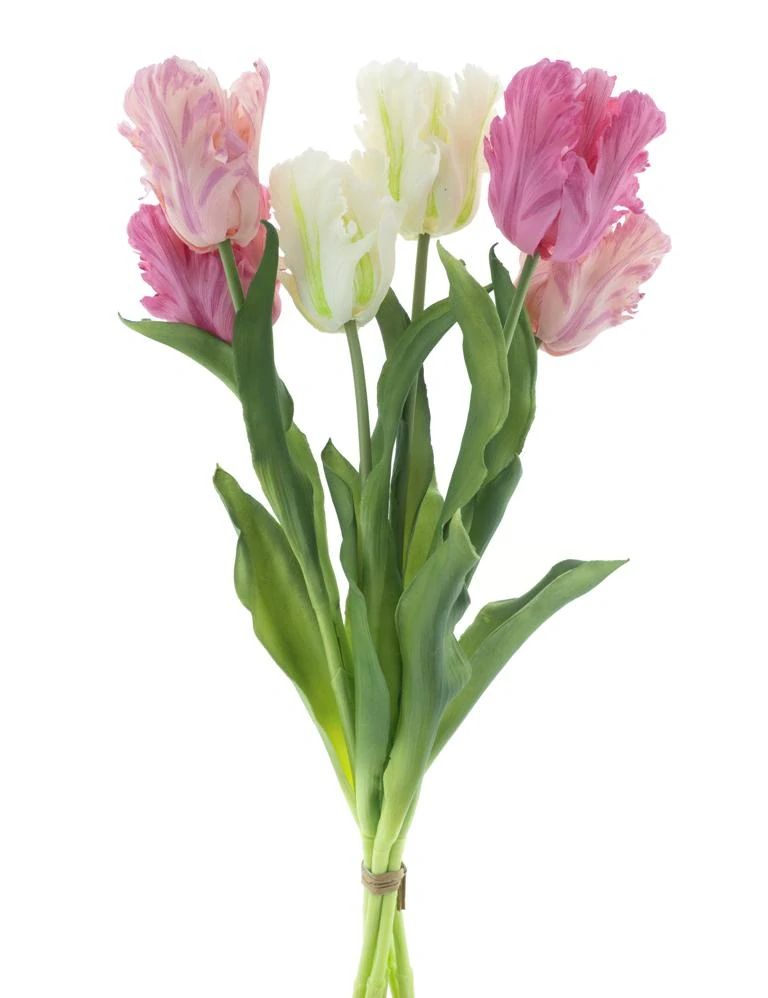 Tulipán papouškovitý Sally svazek růžovo-krémový 51 cm