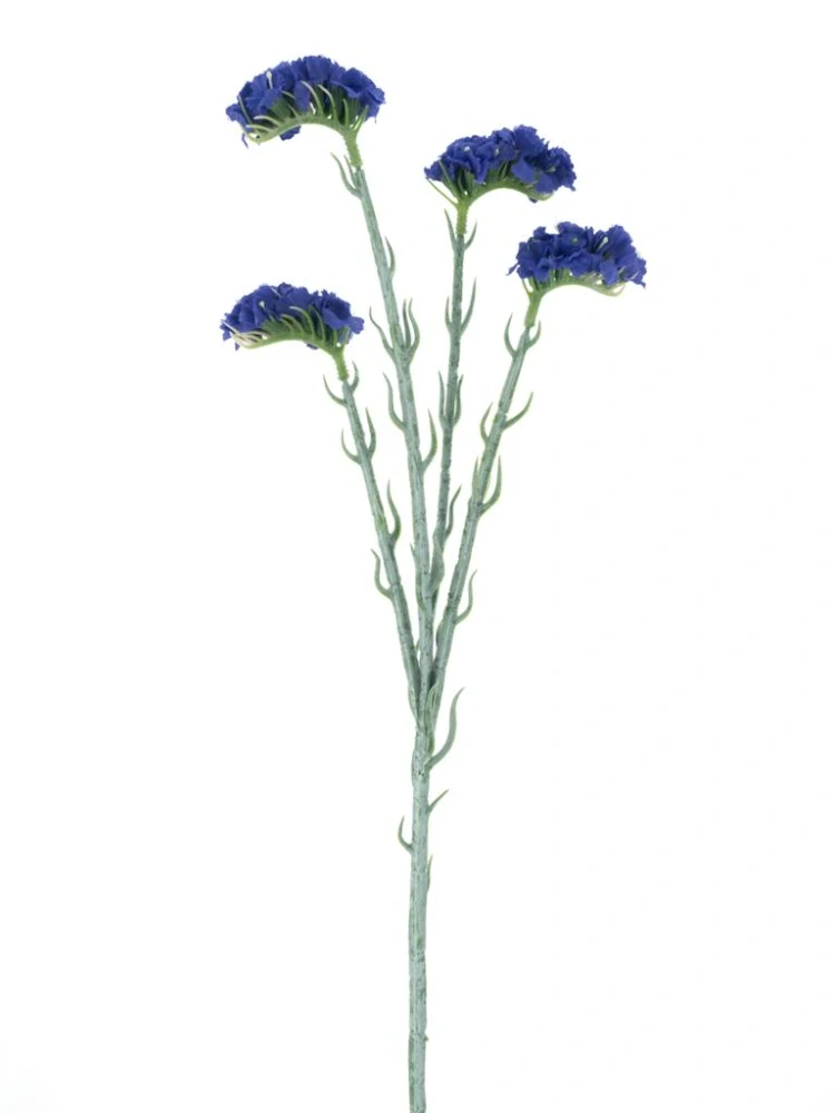 Statice Limonka modrá 64 cm
