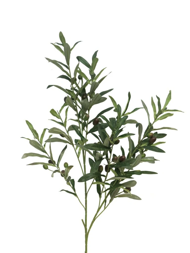 Olivovník Flexa větev 101 cm