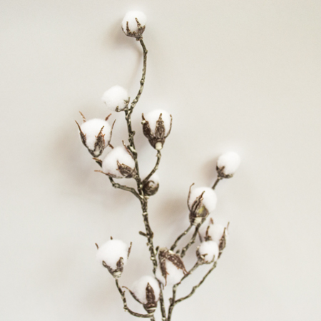 Cotton pick white 38cm