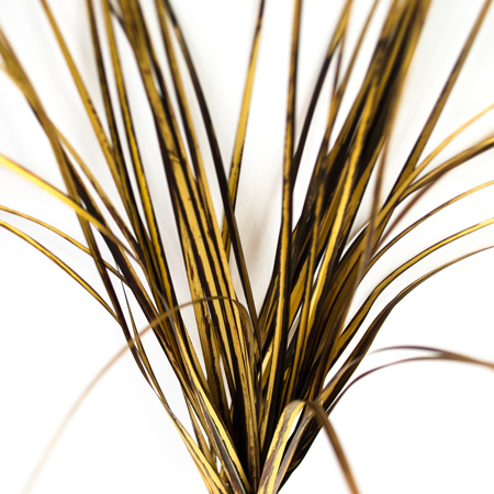 Grass bundle small gold x3 47cm
