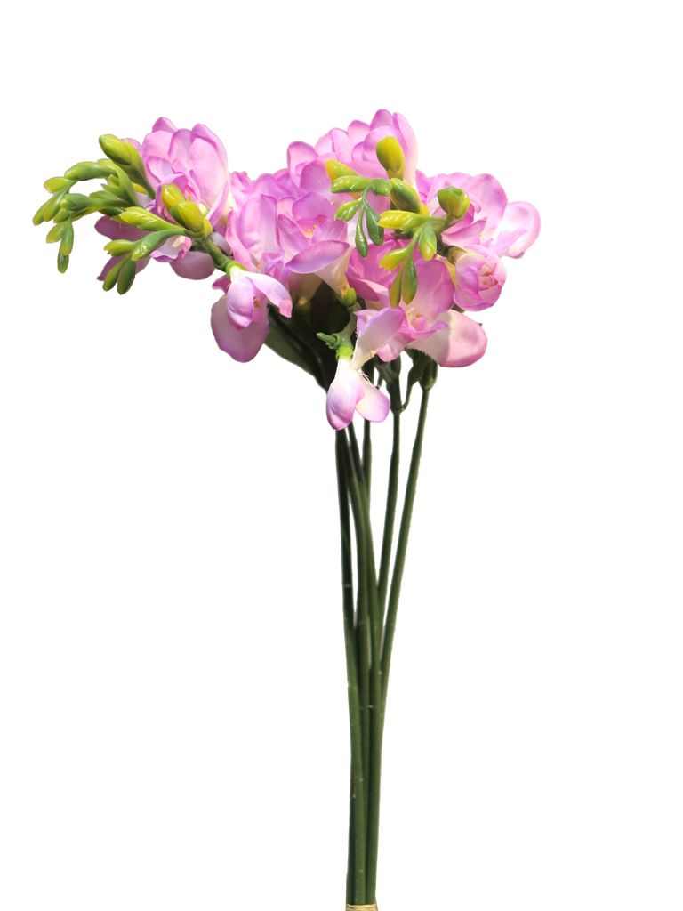 Frézie - Freesia svazek x 6 fialová (lavender) 46 cm