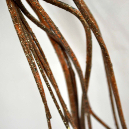 Twig vine brow