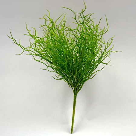 Coral bush