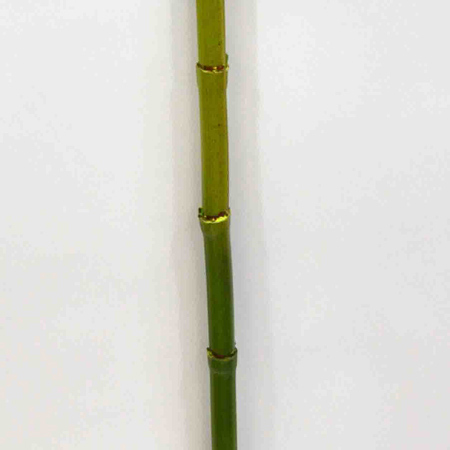 Bamboo stick green 120cm