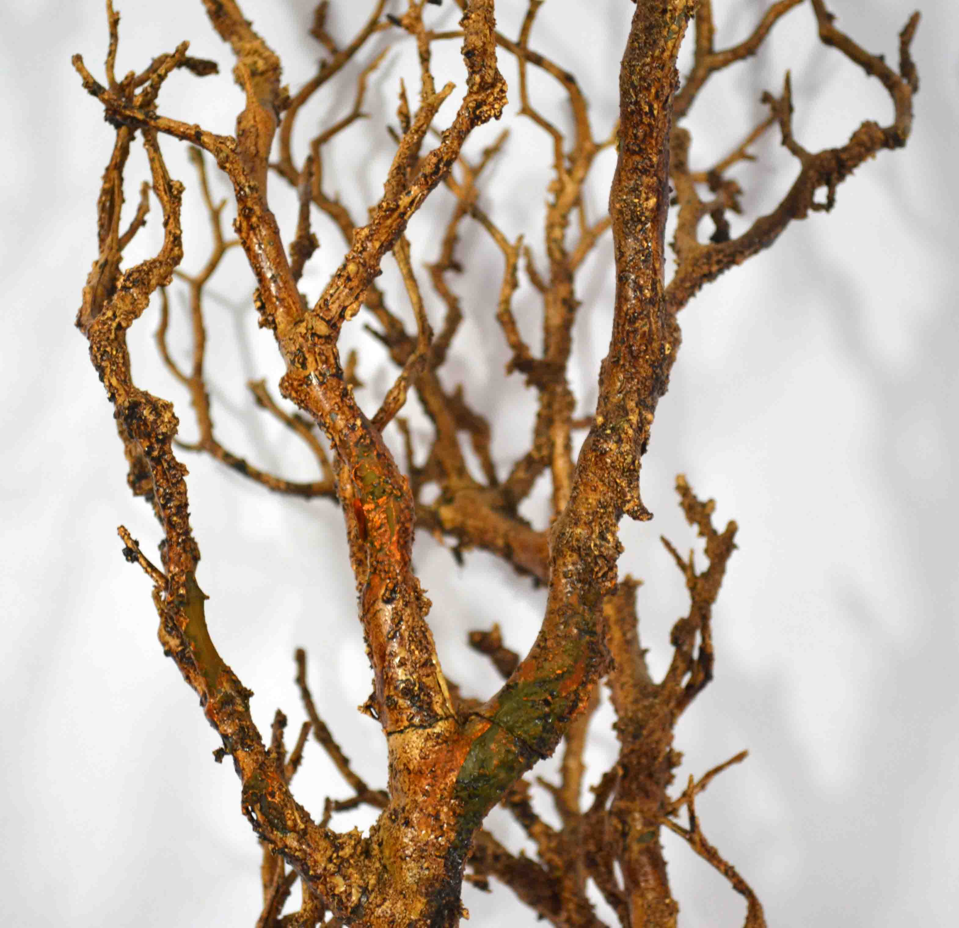 Wood branche