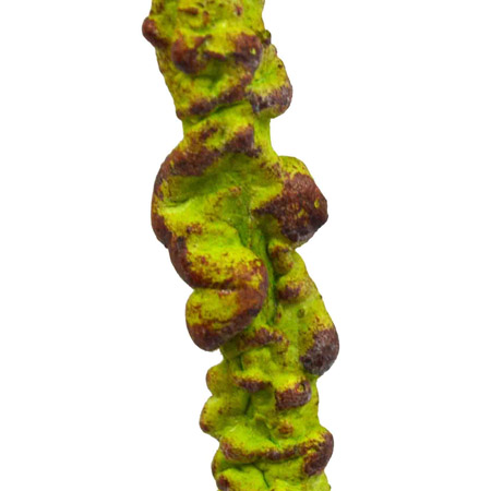 Twig stick green 110cm