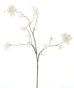 Střemcha - Prunus malaga spray white 126cm