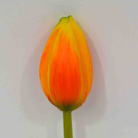 Tulip orange 44cm