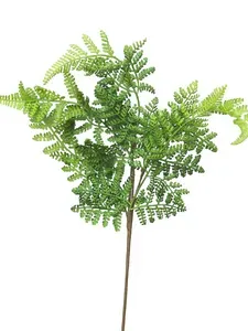 Papratka - Athyrium (spray) zelená V57 cm