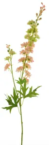 Stračka (Ostrožka) - Delphinium 'Finn' (spray) růžová V85 cm (N934870)