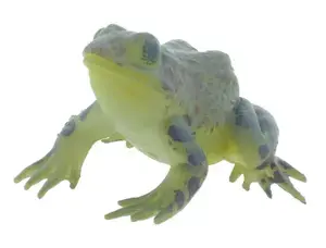 Zabka 6x hnědá 5 cm
