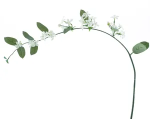 Věncovec - Stephanotis krémový V115 CM