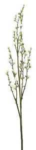 Třešňový květ mini-větev bílý V109 cm
