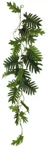 Filodendrón - Philodendron selloum girlanda zelená Délka 105 cm (N323711)