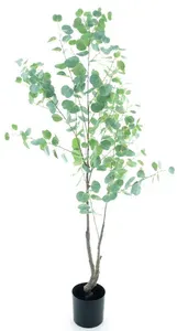Blahovičník - Eukalyptus stromka v květináči zelený V175 cm (N520611)