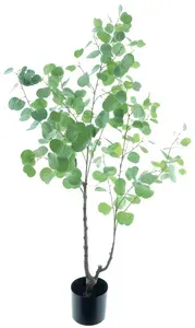 Blahovičník - Eukalyptus stromka v květináči zelený V140 cm (N520621)