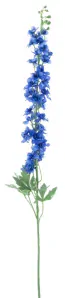 Stračka (Ostrožka) - Delphinium 'Akana' modrá V125 cm (N957284)